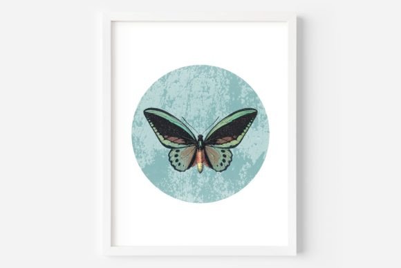 Download Butterfly Wall Art, Printable Butterfly - Wall art Collection